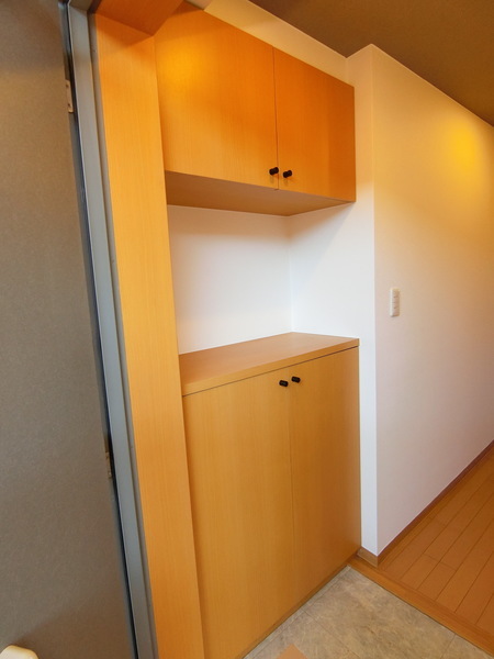 その他　同一タイプ