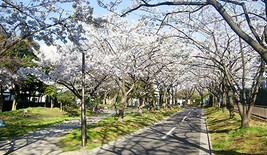 公園　仙台堀川公園（公園）まで714m