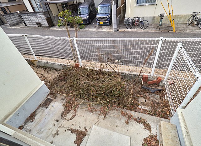 庭　西面専用庭