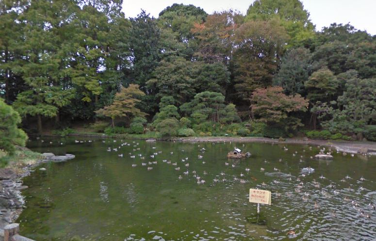 公園　戸越公園（公園）まで1551m