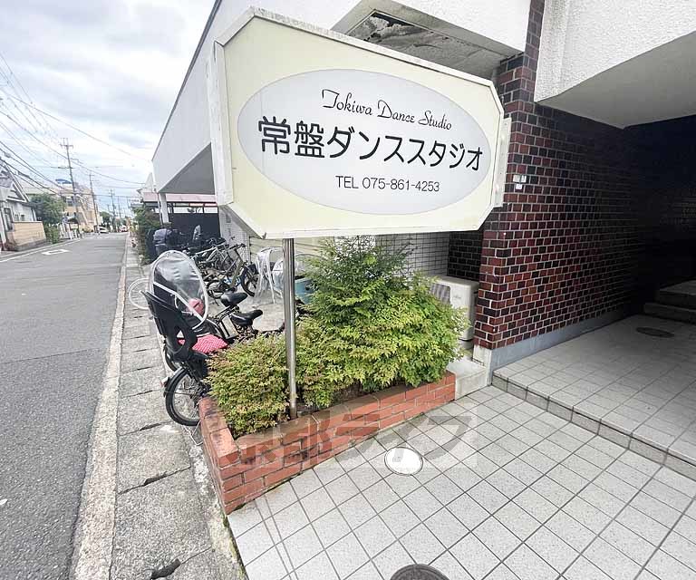 庭