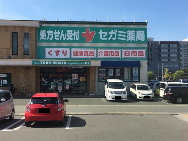 ドラックストア　セガミ薬局江津店（ドラッグストア）まで648m