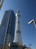 その他　東京スカイツリー（その他）まで765m