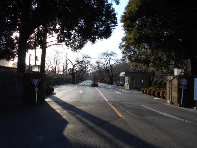 大学・短大　国際基督教大学（大学・短大）まで850m