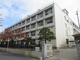 中学校　大阪市立井高野中学校（中学校）まで798m