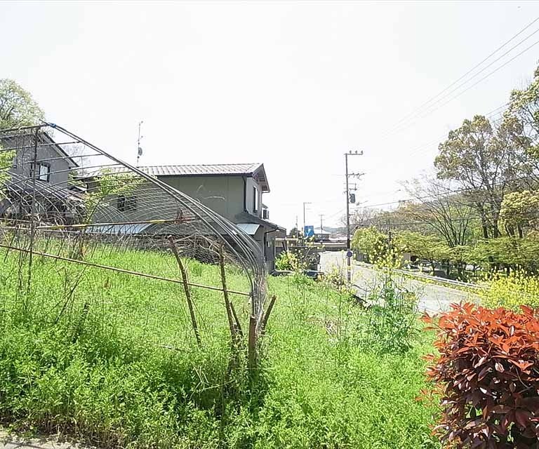 眺望　参考室外風景