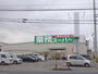 スーパー　業務スーパー南川添店（スーパー）まで491m