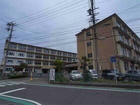 小学校　浜松市立瑞穂小学校（小学校）まで345m