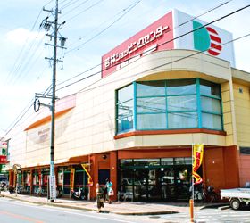 スーパー　ドミー若林店（スーパー）まで673m