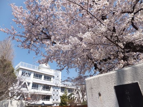 中学校　府中市立府中第一中学校（中学校）まで378m