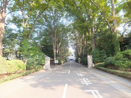 大学・短大　東京農工大学（大学・短大）まで457m