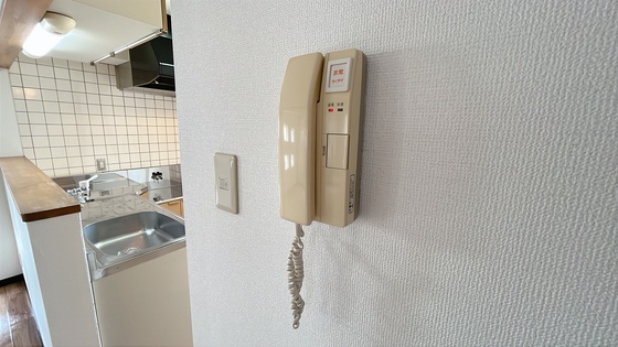 セキュリティ　他号室のお写真です