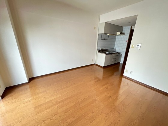 居室・リビング　※別部屋の写真です