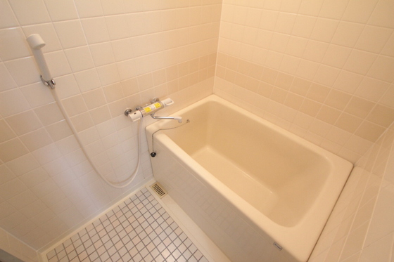 バス・シャワールーム　※別部屋の写真です