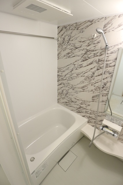 バス・シャワールーム　他号室の写真です