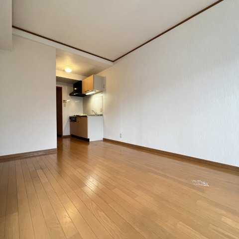 居室・リビング　同仕様タイプです