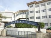 小学校　市立緑小学校（小学校）まで590m
