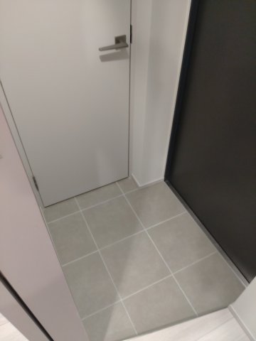 玄関　※同タイプ参考写真です（ash）