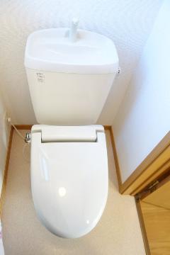 トイレ　トイレ