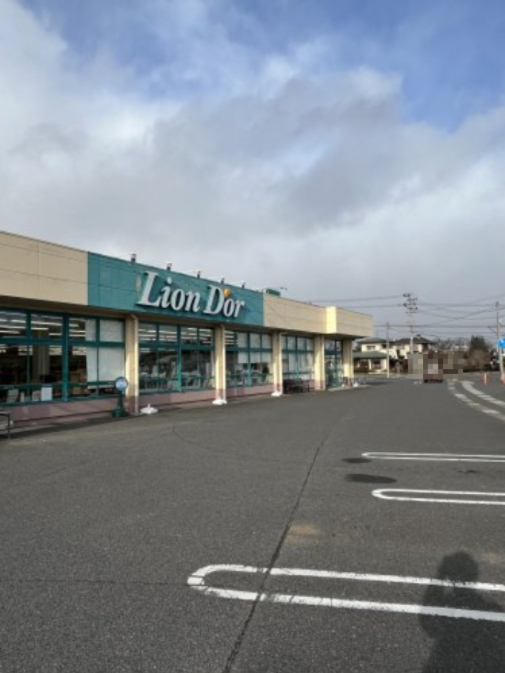 スーパー　リオン・ドール 矢吹店（スーパー）まで1343m