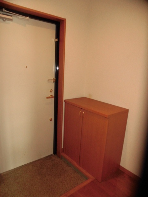 玄関　他号室の写真になります。