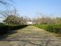 公園　都島公園（公園）まで1097m