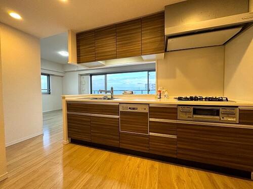 キッチン　カウンターキッチン　※2024年02月撮影