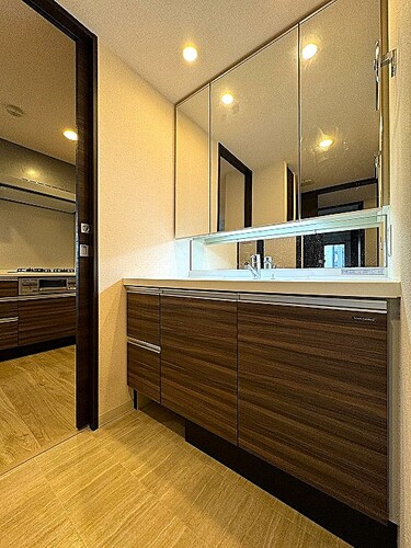 洗面設備　3面鏡付化粧台　※2024年02月撮影