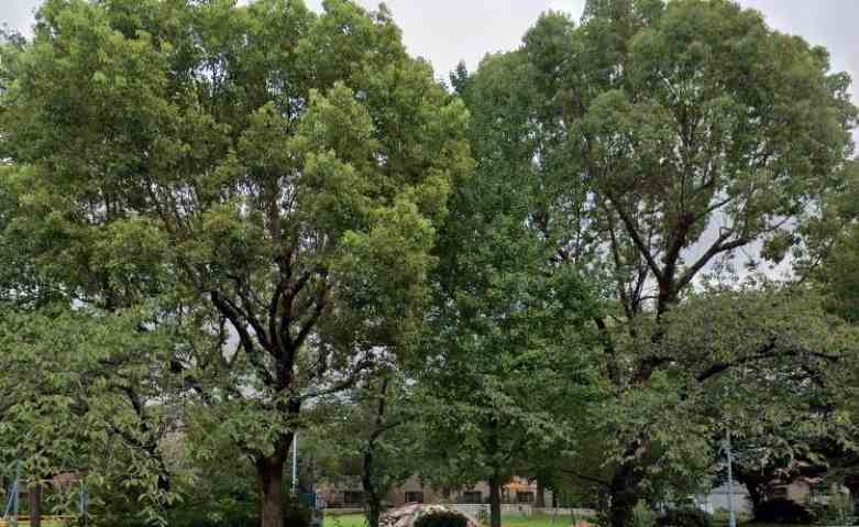 その他　加美北公園（その他）まで487m
