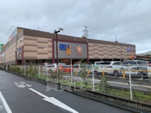スーパー　ライフ　石津店（スーパー）まで636m