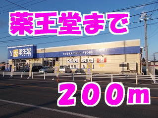 その他　薬王堂（その他）まで200m