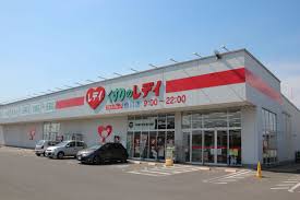ドラックストア　くすりのレデイ撫川店（ドラッグストア）まで1048m