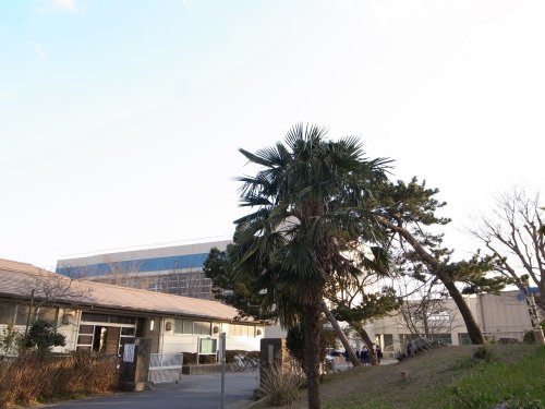 中学校　市原市立五井中学校（中学校）まで819m