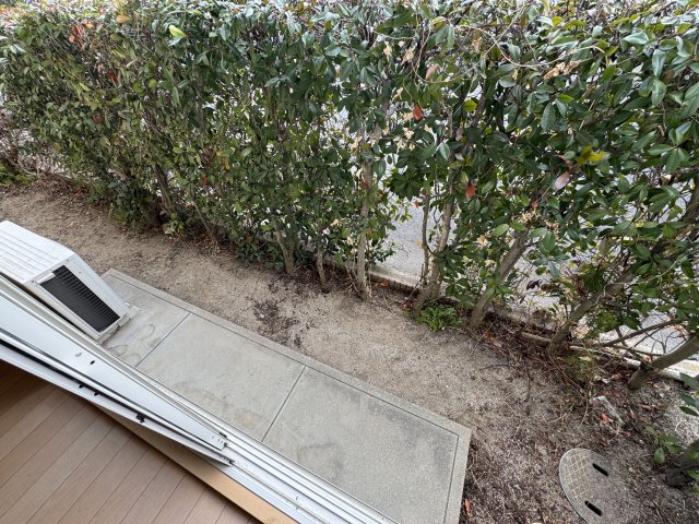 庭　陽当たり良好なバルコニーです♪