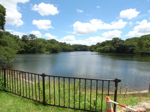 公園　大池公園（公園）まで1133m
