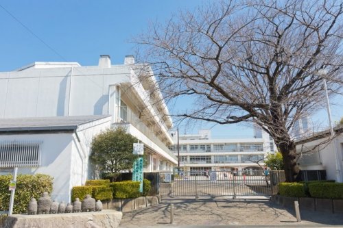 小学校　横浜市立西前小学校（小学校）まで557m