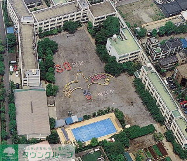 小学校　江戸川区立瑞江小学校（小学校）まで825m