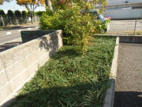 庭　庭（イメージ）