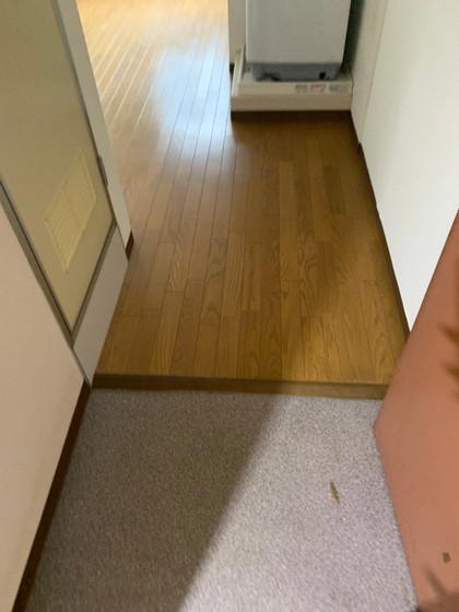 玄関　※別部屋の物件
