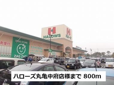 スーパー　Big（スーパー）まで800m