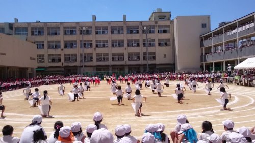 小学校　大阪市立鯰江小学校（小学校）まで659m