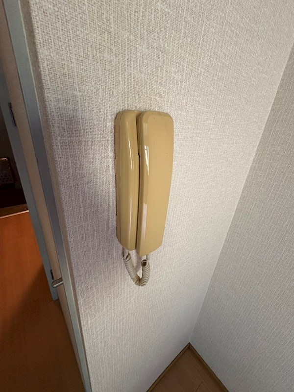 庭　※別号室写真