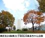 公園　玉ちゃん公園（公園）まで271m