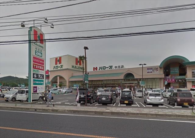 スーパー　ハローズ中庄店（スーパー）まで231m