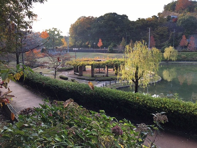 【スワローの公園】