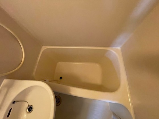 バス・シャワールーム　※別号室のお写真です