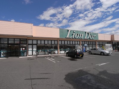 スーパー　リオン・ドール 高根沢店（スーパー）まで1200m