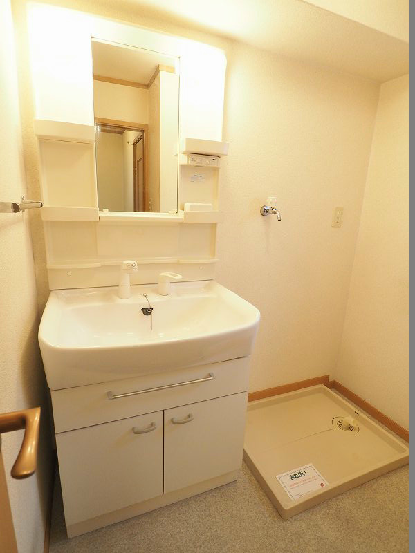 洗面設備　※別号室の写真です。室内洗面所にはシャンプードレッサーがあり