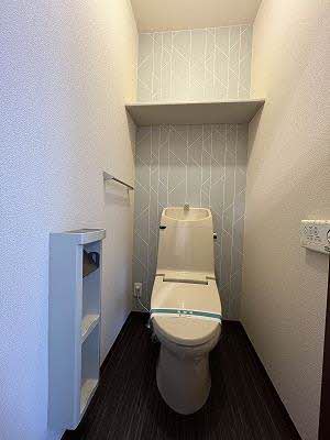 メゾンスカイヒルズ K棟のトイレ写真