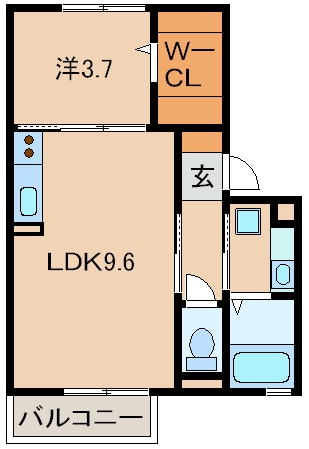 D-room毛見の間取り